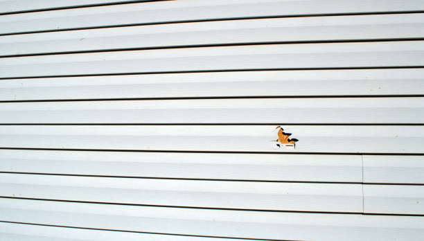 Best Wood Siding Installation  in Fredericktown, OH